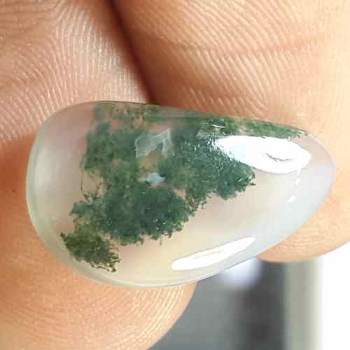6.21 Carats Moss Agate 17.73 x 10.21 x 4.16 mm