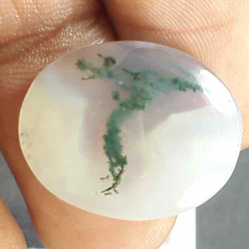 15.71 Carats Moss Agate 20.76 x 16.93 x 5.18 mm