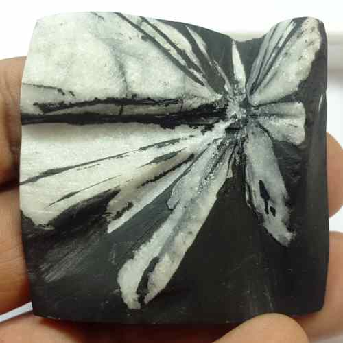 135.06 Carats Natural Chrysanthemum 46.59 x 41.91 x 8.15 mm