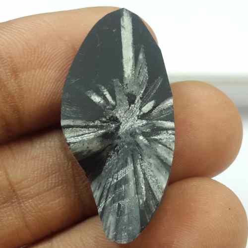 20.36 Carats Natural Chrysanthemum 31.78 x 14.88 x 5.30 mm
