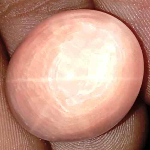 21.71 Carats Natural Star Rose Quartz 16.95 x 15.11 x 13.07 mm