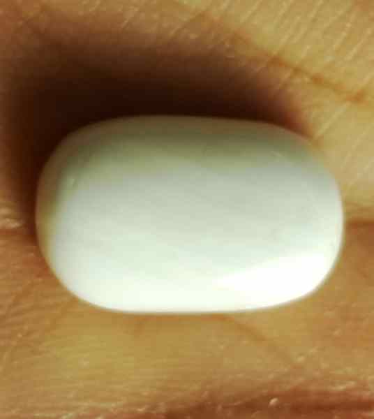 13.97 Carat Italian White Coral 17.92 X 11.46 X 6.52 mm