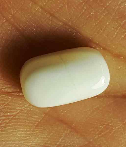 11.18 Carat Italian White Coral 15.13 X 8.82 X 7.89 mm