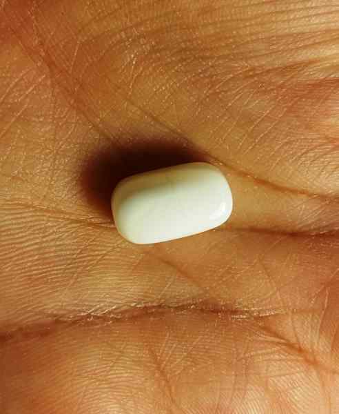 11.18 Carat Italian White Coral 15.13 X 8.82 X 7.89 mm