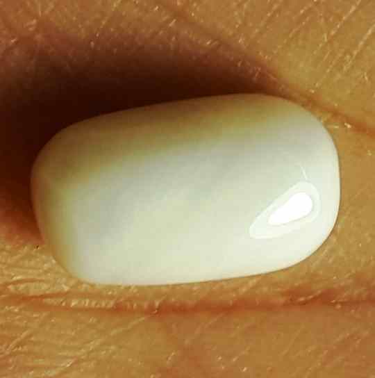 10.72 Carat Italian White Coral 15.33 X 8.51 X 7.96 mm