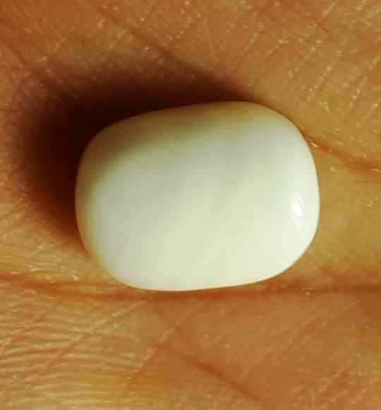 10.38 Carat Italian White Coral 13.98 X 10.34 X 6.92 mm