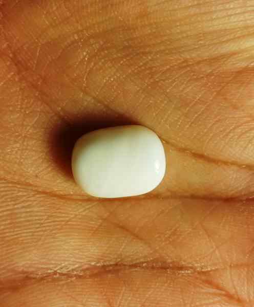 10.38 Carat Italian White Coral 13.98 X 10.34 X 6.92 mm