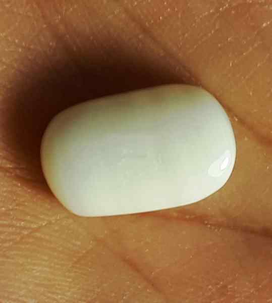 11.02 Carat Italian White Coral 15.71 X 9.71 X 7.15 mm