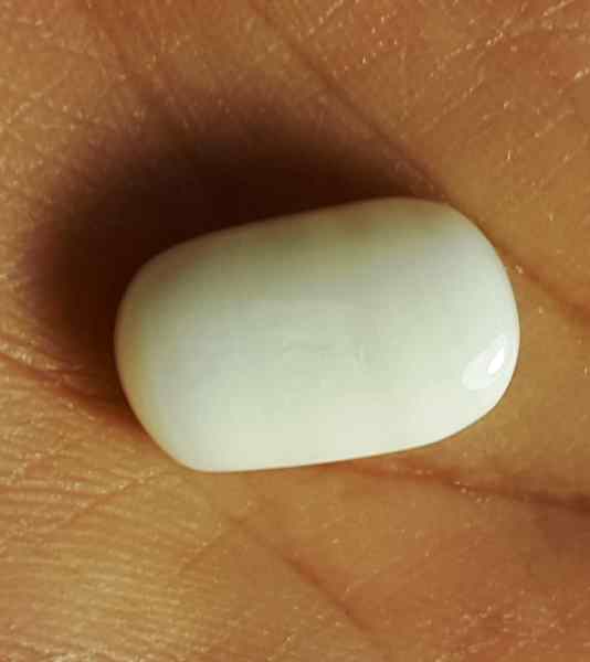 11.02 Carat Italian White Coral 15.71 X 9.71 X 7.15 mm