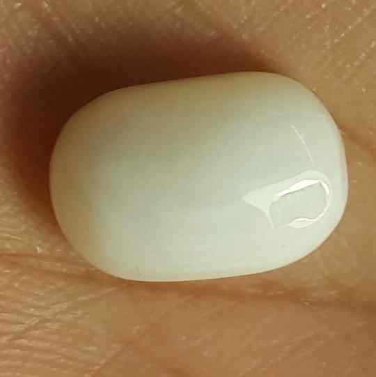 10.87 Carat Italian White Coral 14.88 X 9.86 X 7.84 mm