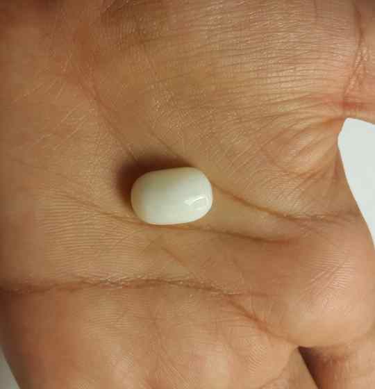 10.87 Carat Italian White Coral 14.88 X 9.86 X 7.84 mm