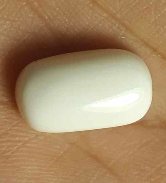 10.48 Carat Italian White Coral 15.51 X 9.44 X 6.95 mm