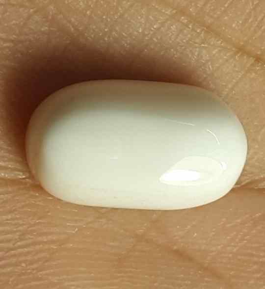 11.02 Carat Italian White Coral 15.55 X 9.12 X 7.98 mm