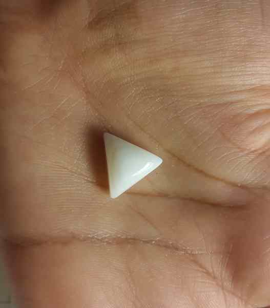 7.92 Carat Italian White Coral 14.74 X 13.21 X 6.56 mm