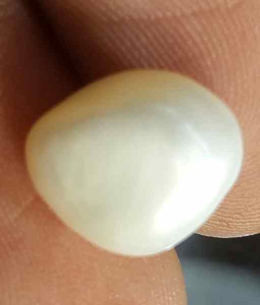 5.07 Carat Venezuela Pearl 10.63 X 9.09 X 8.19 mm