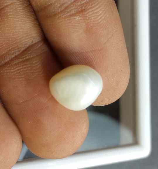 5.07 Carat Venezuela Pearl 10.63 X 9.09 X 8.19 mm