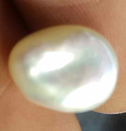 4.82 Carat Venezuela Pearl 11.13 X 8.88 X 7.77 mm