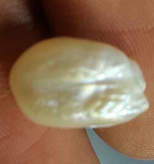 6.17 Carat Venezuela Pearl 12.37 X 8.32 X 8.29 mm