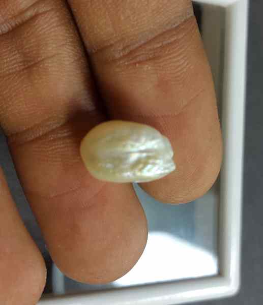 6.17 Carat Venezuela Pearl 12.37 X 8.32 X 8.29 mm