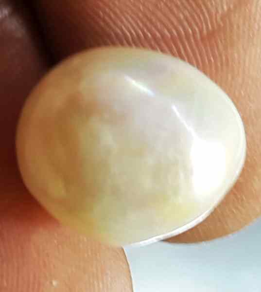8.87 Carat Venezuela Pearl 13.35 X 11.14 X 7.77 mm