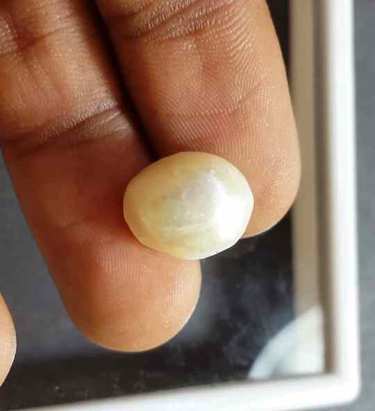 8.32 Carat Venezuela Pearl 12.85 X 10.86 X 7.86 mm