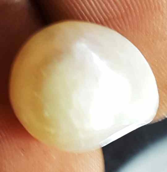 7.12 Carat Venezuela Pearl 13.34 X 11.02 X 6.27 mm