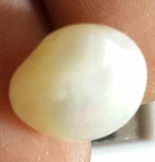 6.91 Carat Venezuela Pearl 12.61 X 10.71 X 6.60 mm