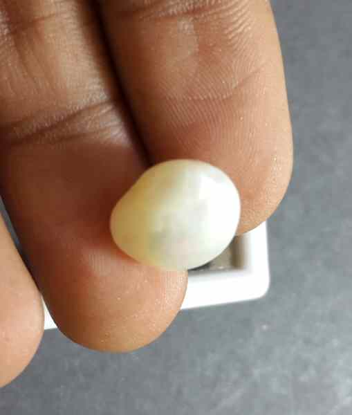 6.91 Carat Venezuela Pearl 12.61 X 10.71 X 6.60 mm
