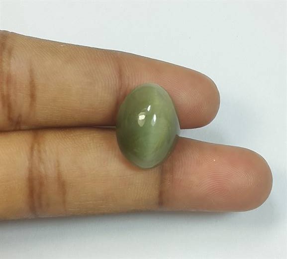 10.62 Carats Cat's Eye 14.94 x 11.49 x 8.94 mm