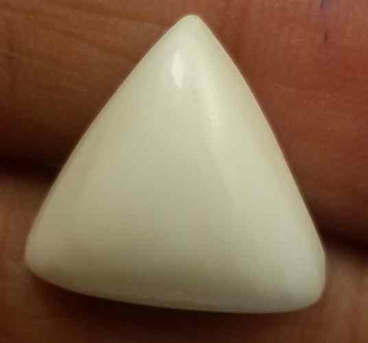7.86 Carats Italian White Coral 11.90 x 11.62 x 7.30 mm