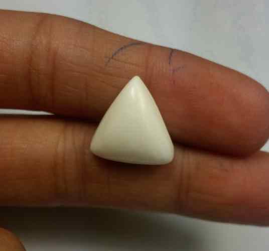 7.86 Carats Italian White Coral 11.90 x 11.62 x 7.30 mm