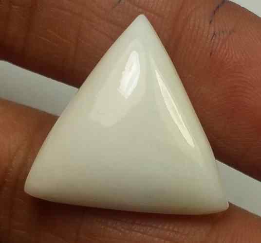 14.83 Carats Italian White Coral 19.52 x 19.42 x 5.51 mm