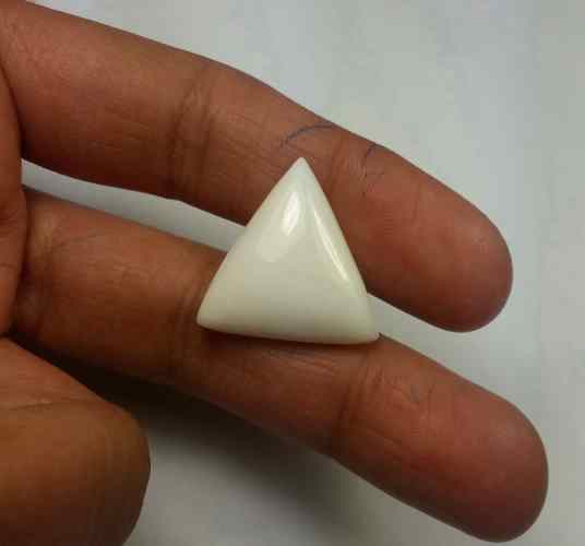14.83 Carats Italian White Coral 19.52 x 19.42 x 5.51 mm