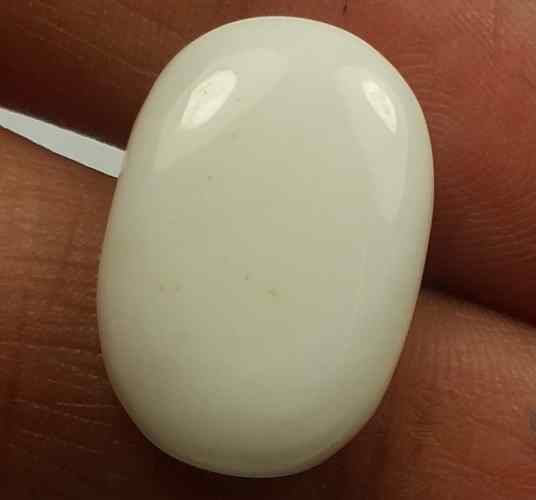 13.78 Carats Italian White Coral 19.44 x 13.44 x 4.98 mm
