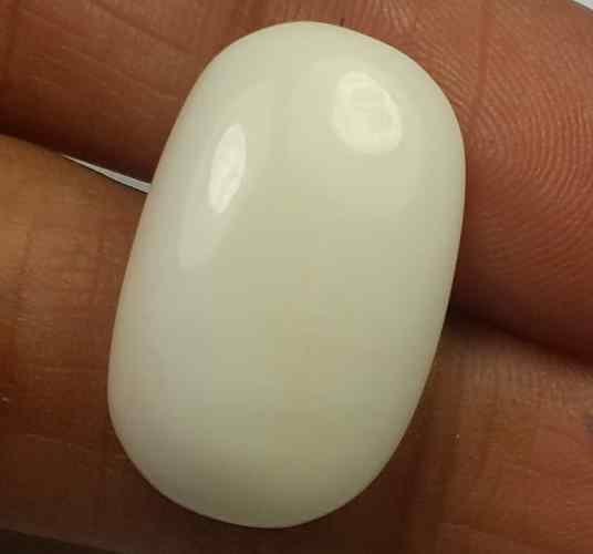 15.71 Carats Italian White Coral 17.52 x 9.80 x 8.61 mm