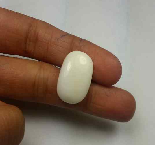 15.71 Carats Italian White Coral 17.52 x 9.80 x 8.61 mm