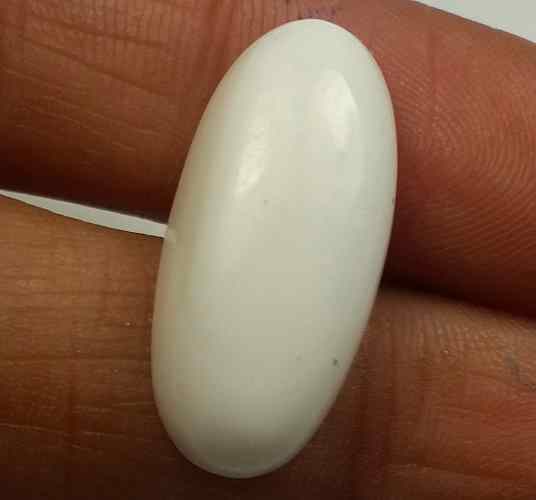 14.35 Carats Italian White Coral 22.64 x 11.95 x 4.84 mm