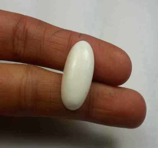 14.35 Carats Italian White Coral 22.64 x 11.95 x 4.84 mm