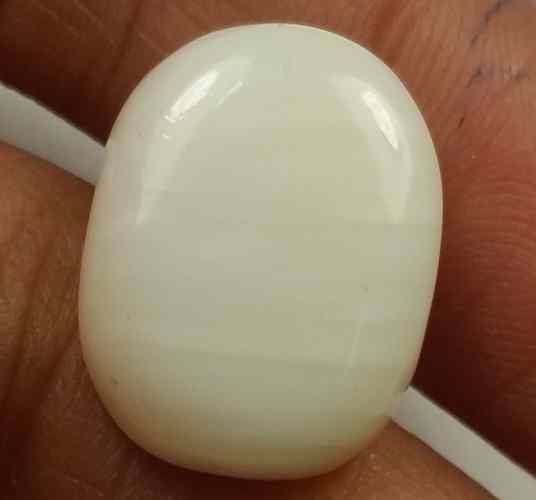 14.85 Carats Italian White Coral 16.95 x 14.23 x 5.72 mm