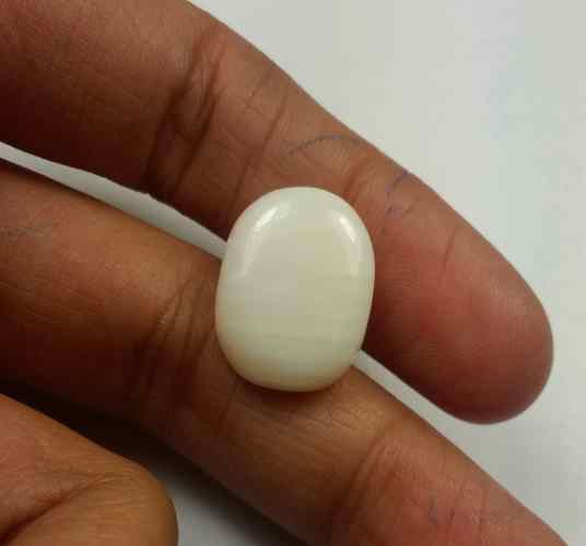 14.85 Carats Italian White Coral 16.95 x 14.23 x 5.72 mm