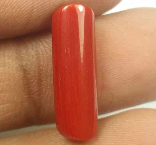 5.87 Carats Red Italian Coral 17.80 x 6.21 x 5.88 mm