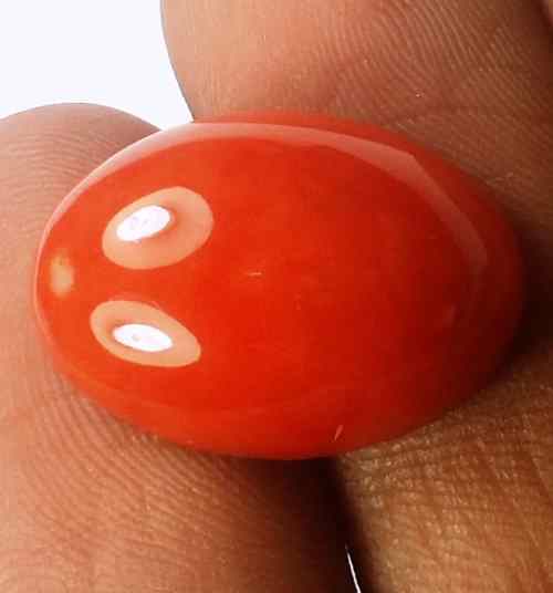 11.70 Carats Orangish Red Japanish Coral 17.94 x 13.95 x 6.45 mm