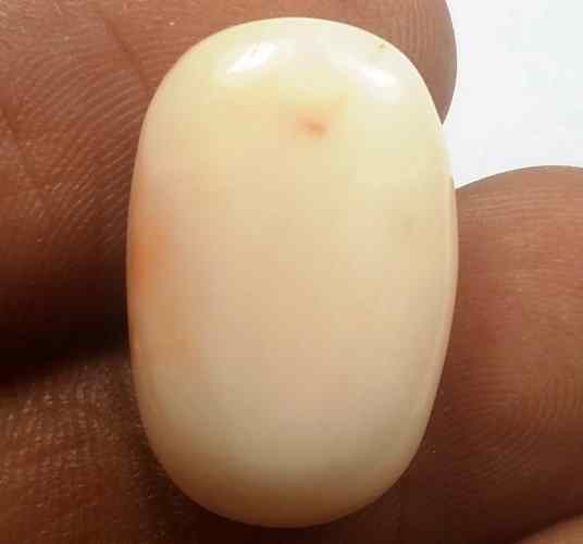 16.13 Carats Japanish Coral 17.66 x 11.86 x 8.60 mm