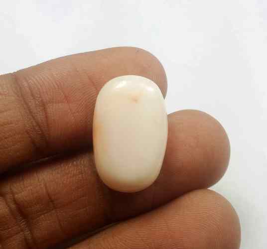 16.13 Carats Japanish Coral 17.66 x 11.86 x 8.60 mm