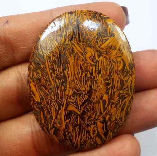 57.79 Carats Mariam Jasper 43.45 X 33.30 X 4.31 mm