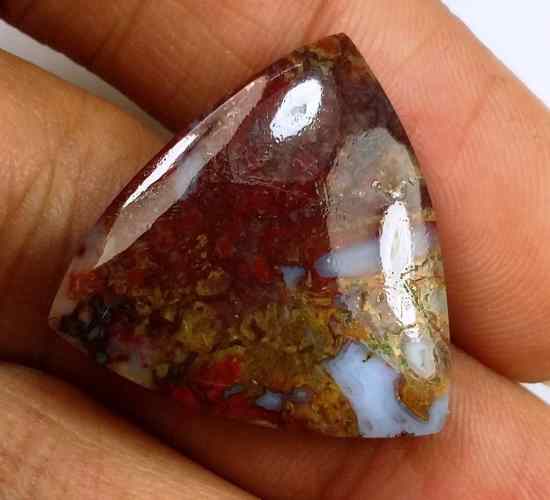13.72 Carats Plum Root Agate 21.19 X 20.65 X 4.06 mm