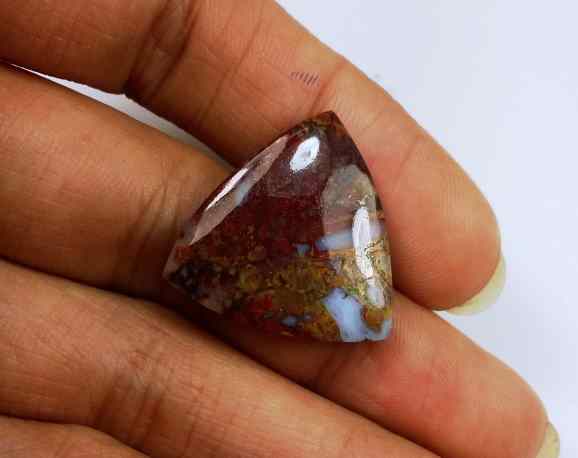 13.72 Carats Plum Root Agate 21.19 X 20.65 X 4.06 mm