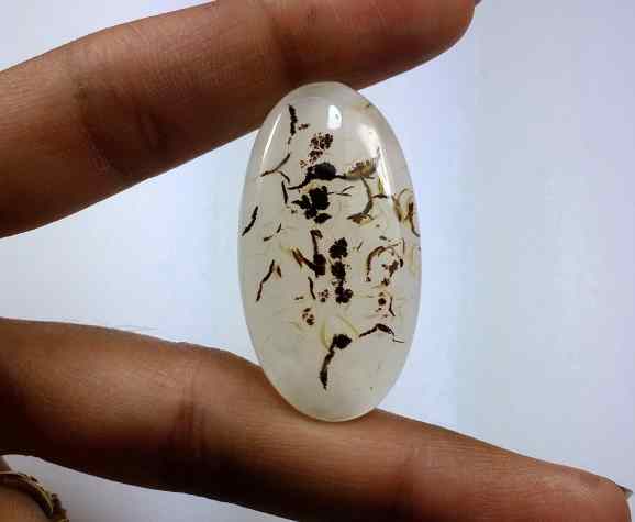 35.75 Carats Montana Agate 38.51 X 20.51 X 5.17 mm