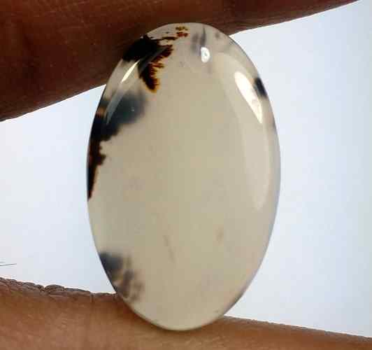 13.89 Carats Montana Agate 23.52 X 14.75 X 4.11 mm