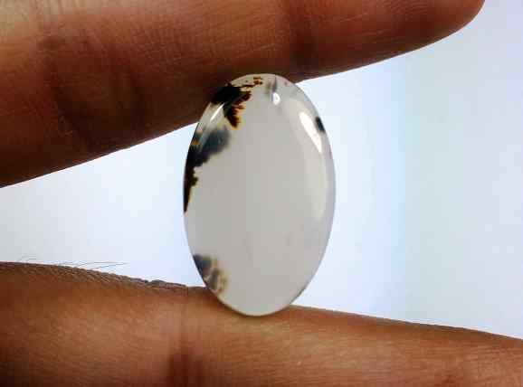 13.89 Carats Montana Agate 23.52 X 14.75 X 4.11 mm